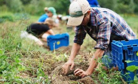 Visualizza la notizia: Bando PSR per gli Agricoltori Custodi Visualizza la notizia: Bando PSR per gli Agricoltori Custodi