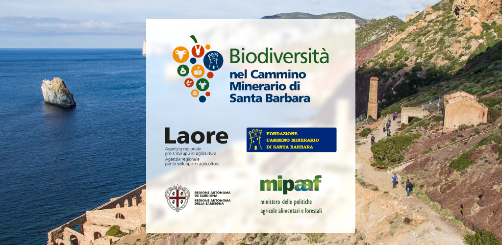 Visualizza la notizia: APP per smartphone dell'Itinerario dell'agro-biodiversità nel Cammino di Minerario di Santa Barbara