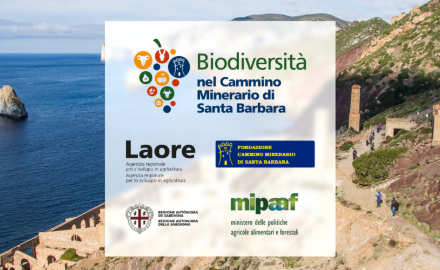 Visualizza la notizia: APP per smartphone dell'Itinerario dell'agro-biodiversità nel Cammino di Minerario di Santa Barbara Visualizza la notizia: APP per smartphone dell'Itinerario dell'agro-biodiversità nel Cammino di Minerario di Santa Barbara