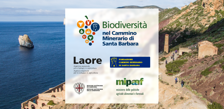 APP Itinerario dell'agro-biodiversità nel Cammino di Minerario di Santa Barbara