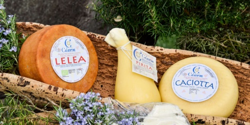 Altri formaggi dell'azienda