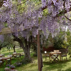 Giardino dell'azienda