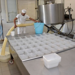 Preparazione del Frue