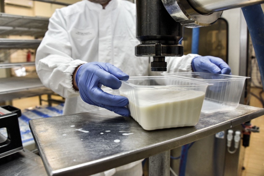 Produzione del formaggio Fruhe / Casu axedu