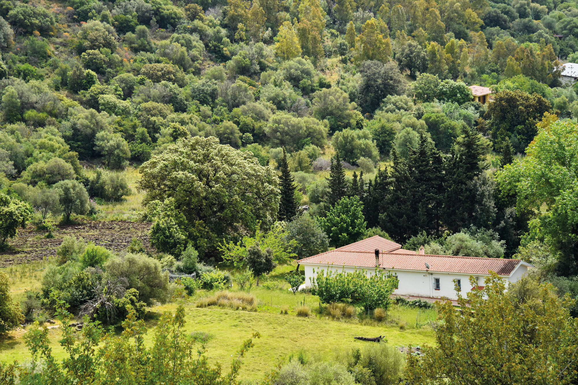 Vista sulla struttura