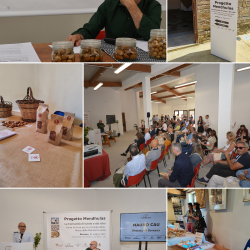 Baressa Incontro di animazione