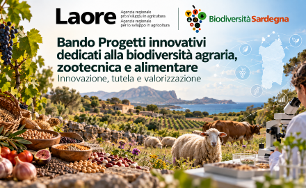 Visualizza la notizia: Progetti innovativi per la biodiversità agraria, zootecnica e alimentare: aperto il nuovo bando Visualizza la notizia: Progetti innovativi per la biodiversità agraria, zootecnica e alimentare: aperto il nuovo bando