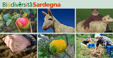 Visualizza la sezione: GIORNATA NAZIONALE DELLA BIODIVERSITA’ DI INTERESSE AGRICOLO E ALIMENTARE 20 maggio 2024 - L. 194/2015