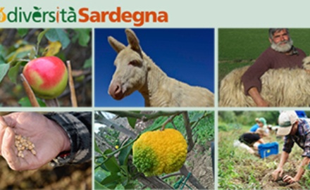 Visualizza la notizia: Giornata Nazionale della Biodiversità di interesse Agricolo e Alimentare - L. 194/2015 Visualizza la notizia: Giornata Nazionale della Biodiversità di interesse Agricolo e Alimentare - L. 194/2015