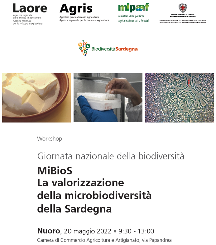 Visualizza la notizia: MicroBiodiversità Sardegna - Workshop di presentazione