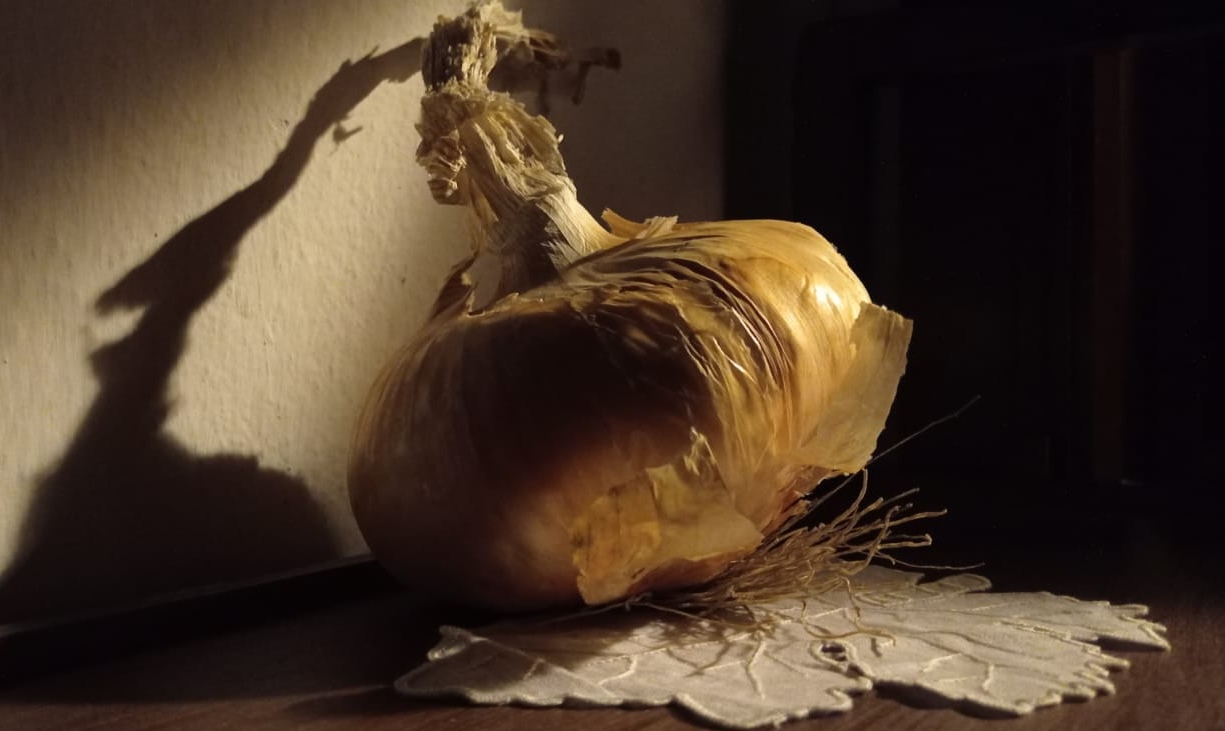 Visualizza la notizia:  Incontro su "Chipudda de 'Anari", dalla tutela alla valorizzazione della biodiversità" sabato 25/11/2023 - Banari