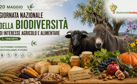 Visualizza la notizia: Giornata nazionale della biodiversità di interesse agricolo e alimentare - L. 194/2015 Visualizza la notizia: Giornata nazionale della biodiversità di interesse agricolo e alimentare - L. 194/2015