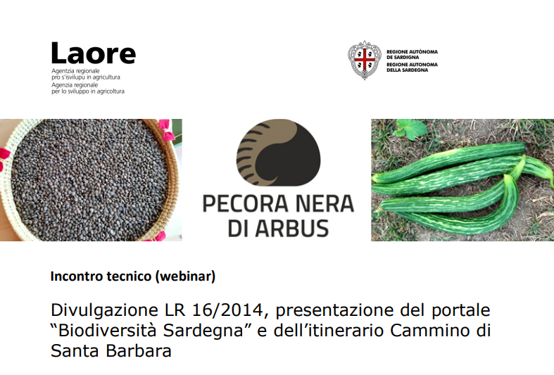Visualizza la notizia: Divulgazione LR 16/2014, presentazione del portale “Biodiversità Sardegna” e dell’itinerario Cammino di Santa Barbara