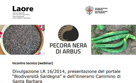 Visualizza la notizia: Divulgazione LR 16/2014, presentazione del portale “Biodiversità Sardegna” e dell’itinerario Cammino di Santa Barbara