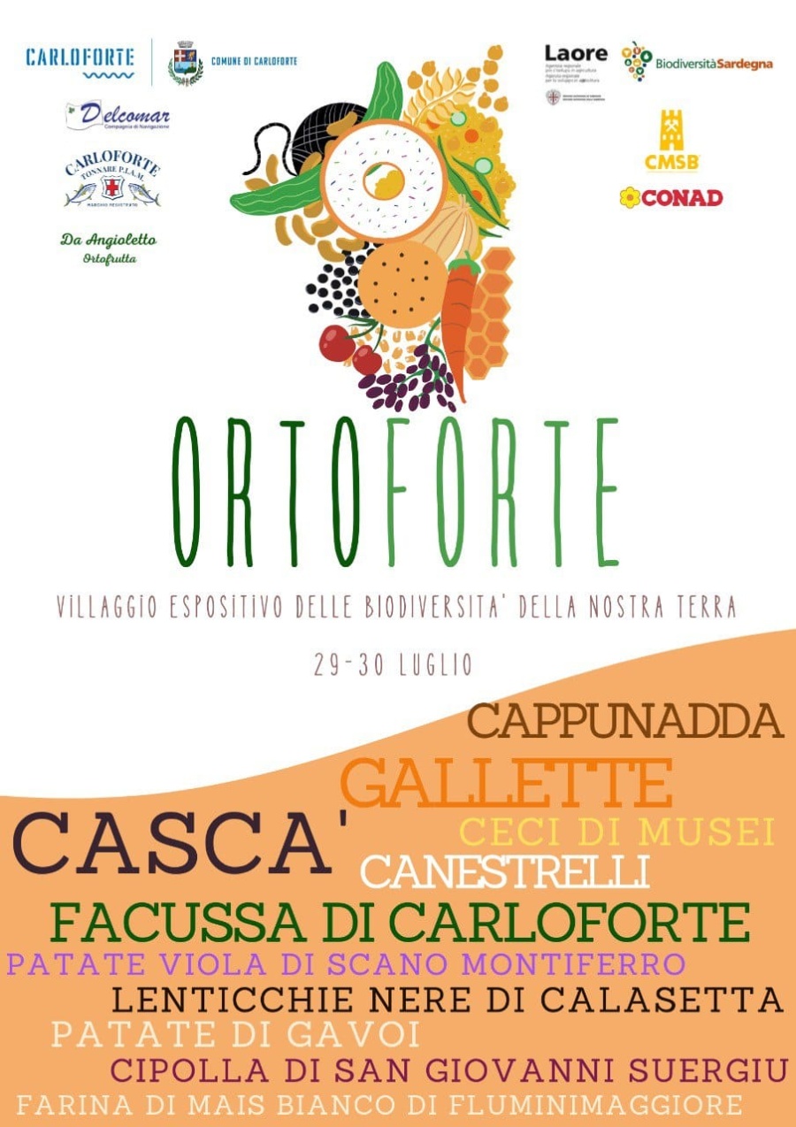 ORTOFORTE - Programma