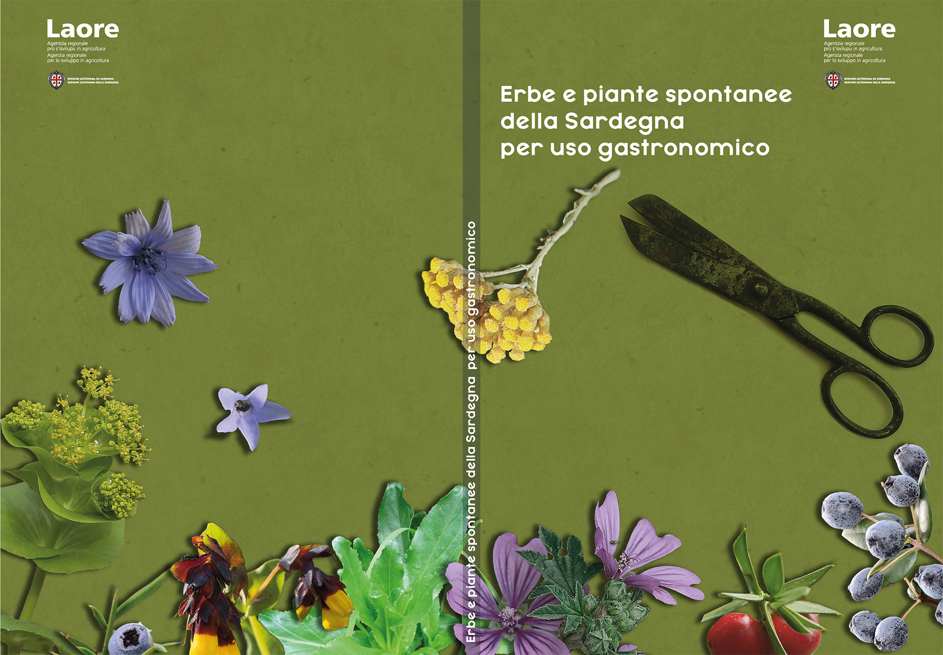 Visualizza la notizia: Erbe e piante spontanee della Sardegna per uso gastronomico
