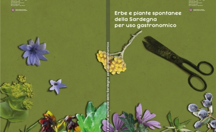 Visualizza la notizia: Erbe e piante spontanee della Sardegna per uso gastronomico