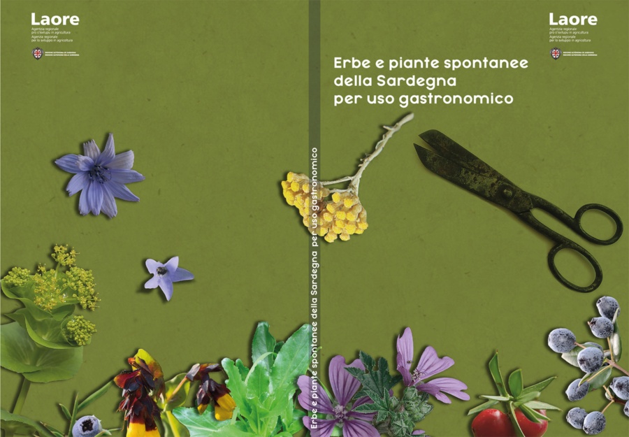 Erbe e piante spontanee della Sardegna per uso gastronomico