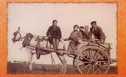 Visualizza la notizia: Gli Antichi Ortaggi di Sestu Visualizza la notizia: Gli Antichi Ortaggi di Sestu