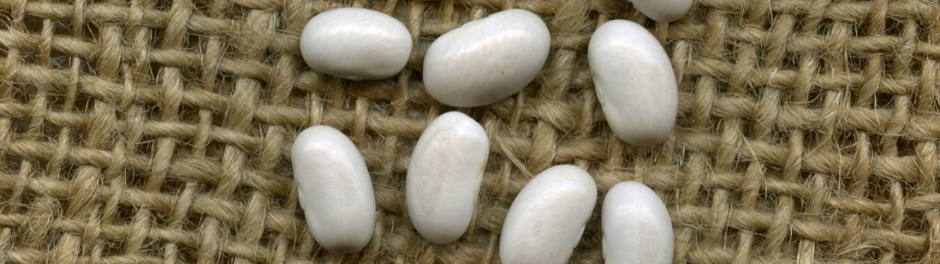 Fasou biancu de Terraseo