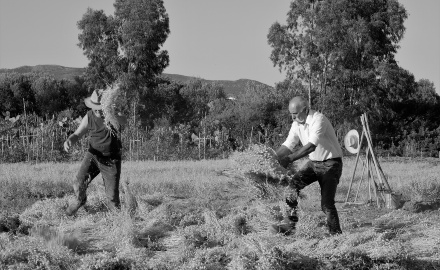 Visualizza la notizia: Comunità di Tutela e del Cibo della Sardegna Sud-occidentale - Incontro di animazione - Arbus, 30 gennaio 2024, ore 16,00 Visualizza la notizia: Comunità di Tutela e del Cibo della Sardegna Sud-occidentale - Incontro di animazione - Arbus, 30 gennaio 2024, ore 16,00