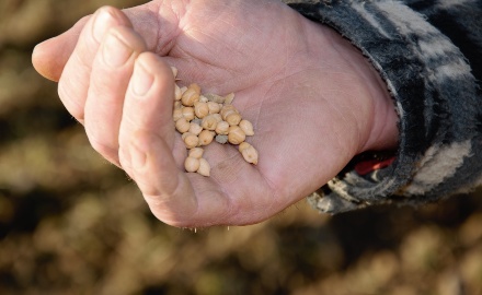 Visualizza la notizia: Pubblicazione Elenco Allevatori e Agricoltori Custodi (AAC)  Visualizza la notizia: Pubblicazione Elenco Allevatori e Agricoltori Custodi (AAC)