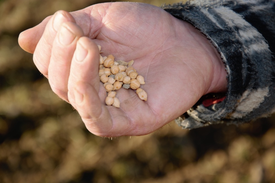 Diventa Agricoltore e Allevatore Custode