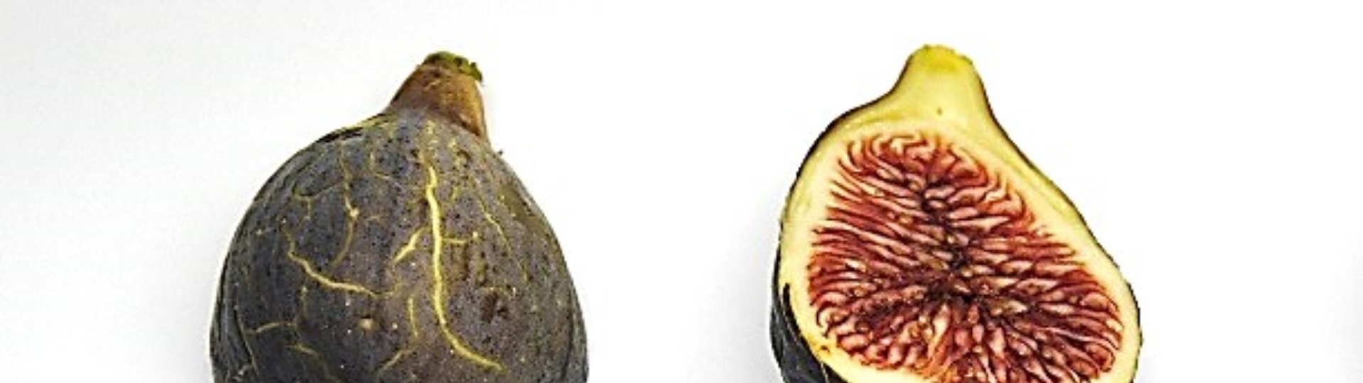 Fico Murra frutti