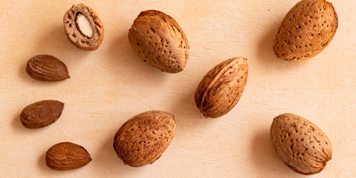 Mandorlo Niedda mandorle