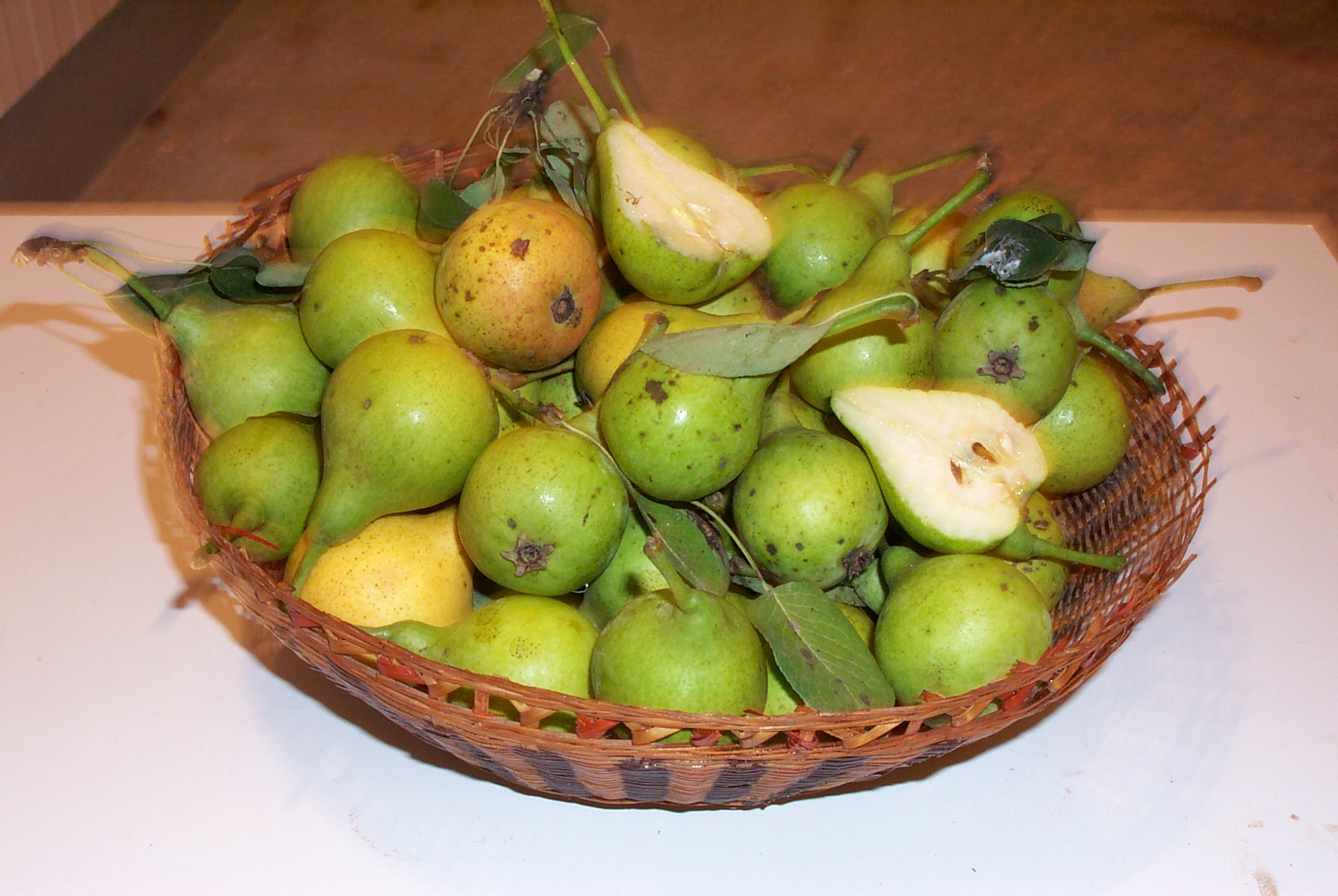 Camusina di Bonarcado