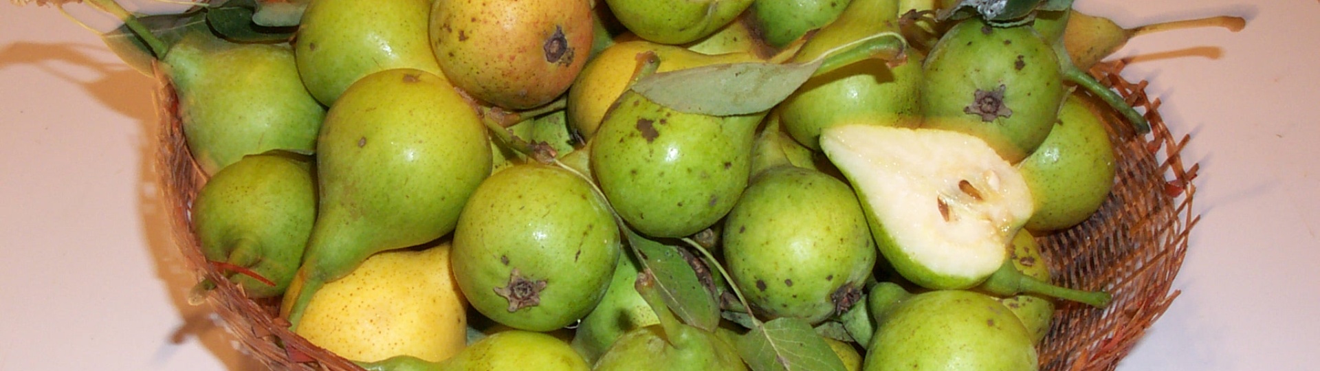 Camusina di Bonarcado