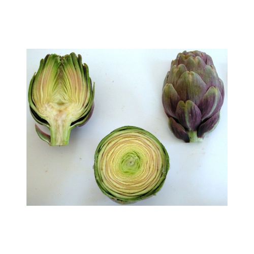 CARCIOFO VIOLETTO DI SAMASSI