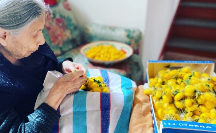 Visualizza la notizia: "Baco da seta - razza Orgosolo" - Iscritto nel Repertorio regionale della Biodiversità agricola della Sardegna Visualizza la notizia: "Baco da seta - razza Orgosolo" - Iscritto nel Repertorio regionale della Biodiversità agricola della Sardegna