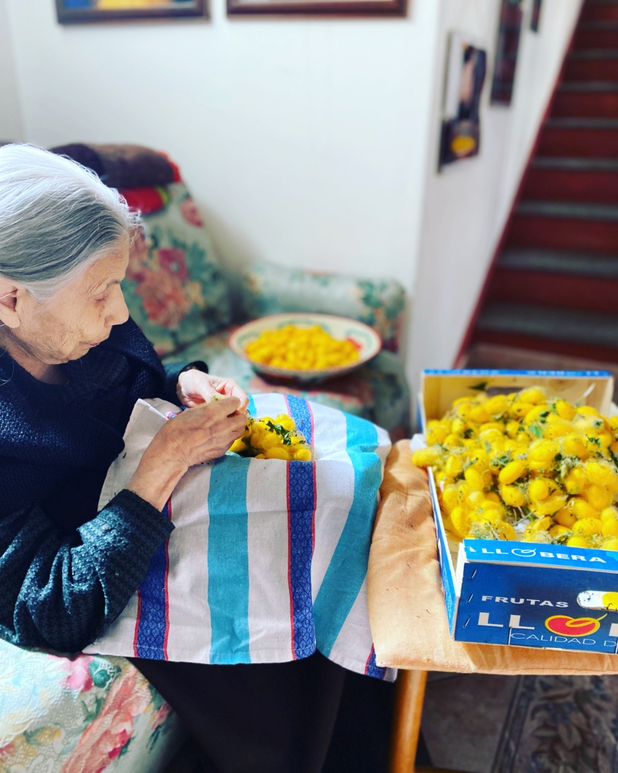 "Baco da seta - razza Orgosolo" - Iscritto nel Repertorio regionale della Biodiversità agricola della Sardegna