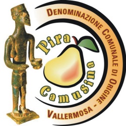 Pira Camusina di Vallermosa