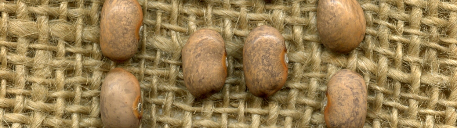 Fagiolo Trighine