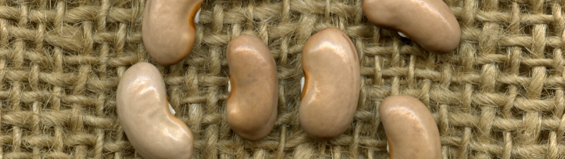 HORRU 'E HAPRA