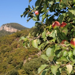 Trempa Orrùbia di Ussàssai