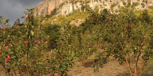 Trempa Orrùbia di Ussàssai