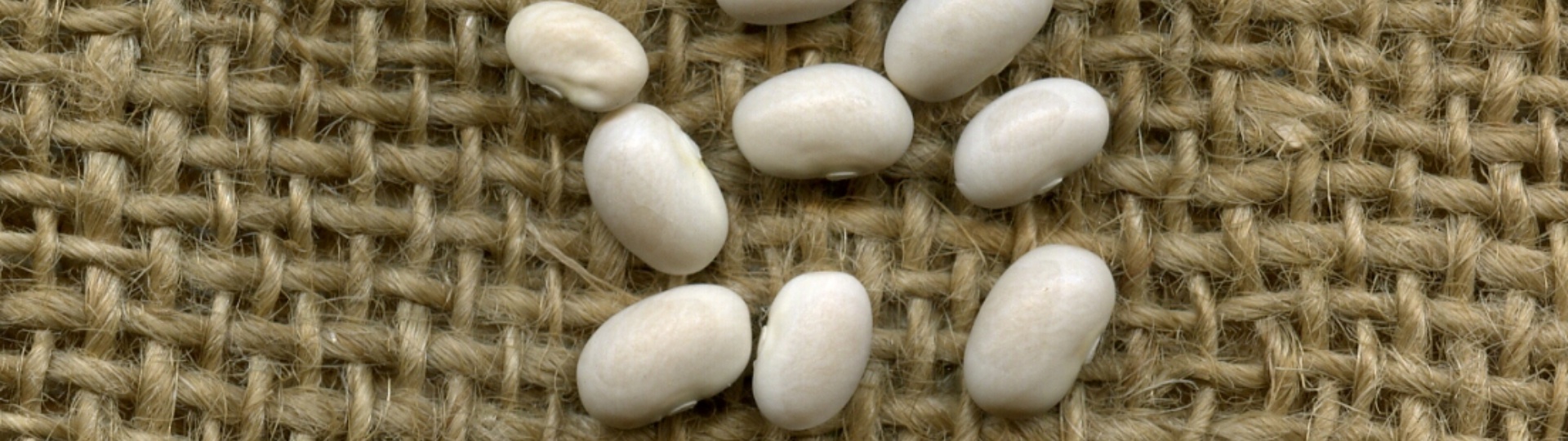 Fagiolo bianco Fluminimaggiore semi