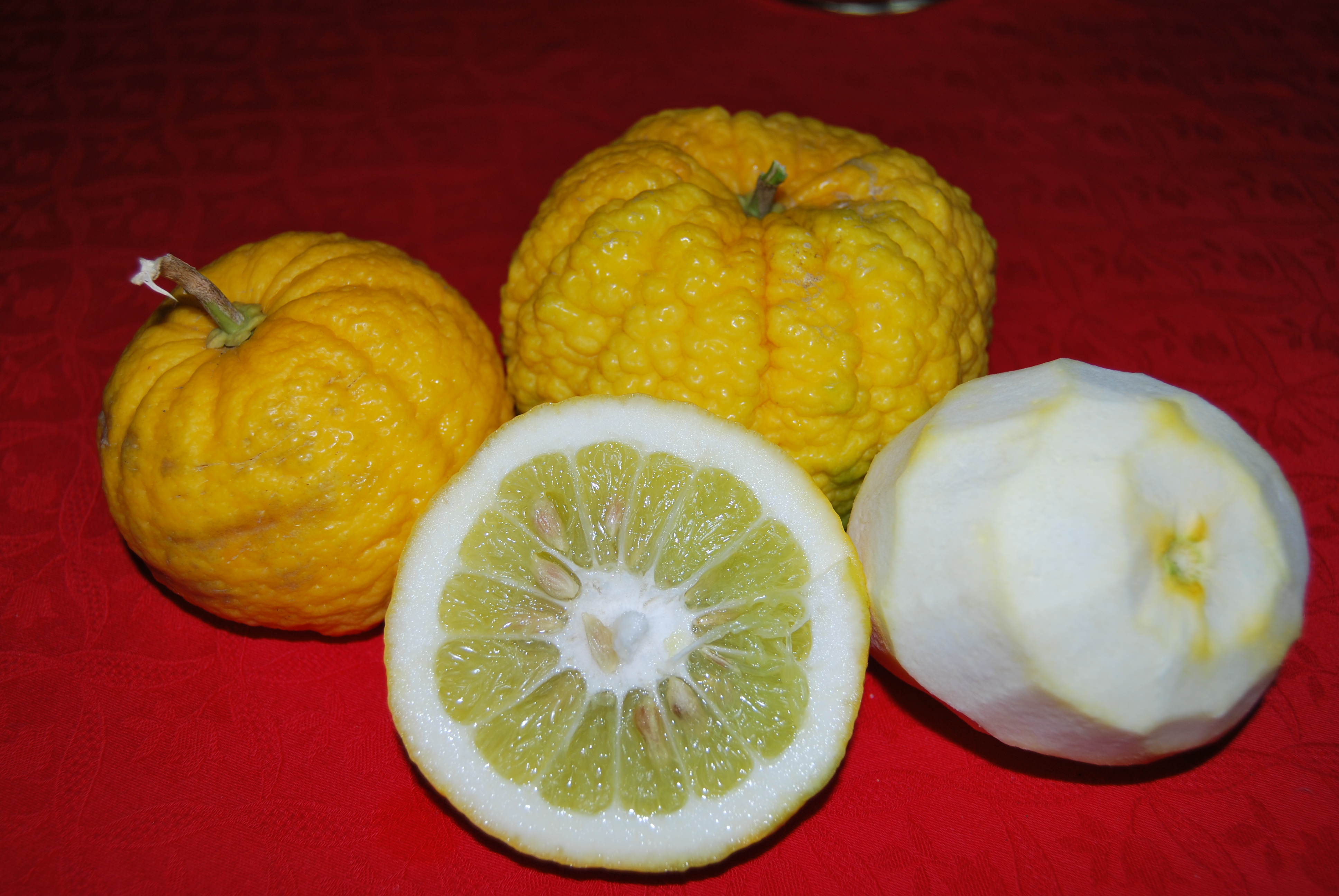 Frutti