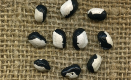 Visualizza la notizia: IL GUSTO DEI LEGUMI - GIORNATA INTERNAZIONALE DEI LEGUMI 8-9-10 febbraio 2025 Visualizza la notizia: IL GUSTO DEI LEGUMI - GIORNATA INTERNAZIONALE DEI LEGUMI 8-9-10 febbraio 2025