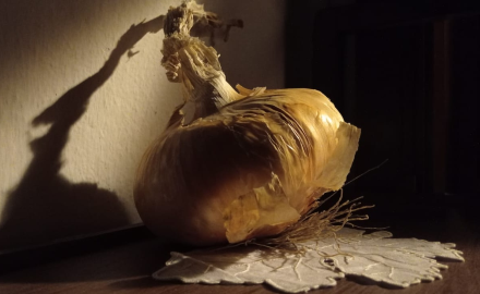 Visualizza la notizia:  Incontro su "Chipudda de 'Anari", dalla tutela alla valorizzazione della biodiversità" sabato 25/11/2023 - Banari Visualizza la notizia:  Incontro su "Chipudda de 'Anari", dalla tutela alla valorizzazione della biodiversità" sabato 25/11/2023 - Banari