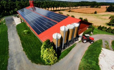 Visualizza la notizia: PNRR - Nuovi impianti fotovoltaici in agricoltura Visualizza la notizia: PNRR - Nuovi impianti fotovoltaici in agricoltura